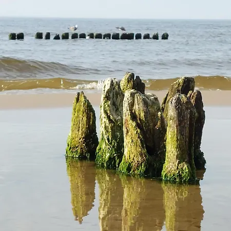 Hevenia Nr 8 Apartment Mrzezyno