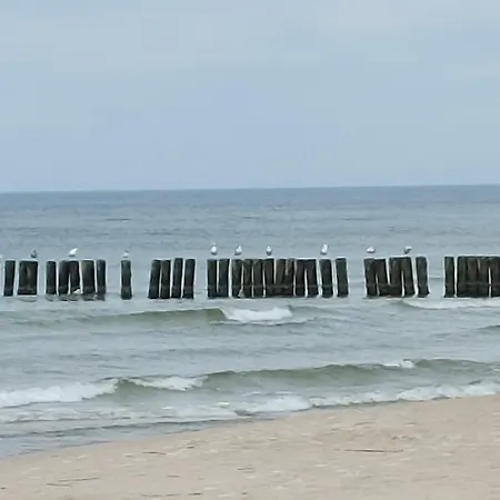 Hevenia Nr 8 Mrzezyno