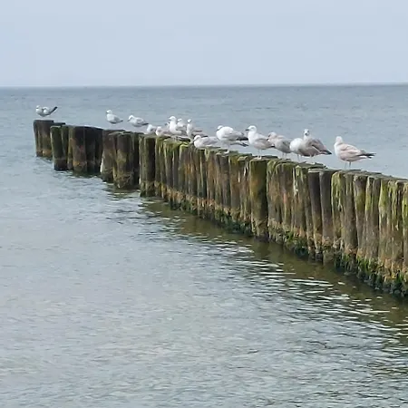 Apartment Hevenia Nr 8