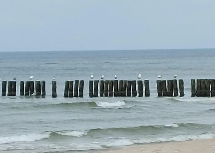 Hevenia Nr 8 Mrzeżyno