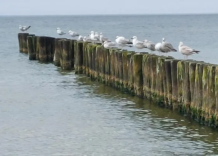 Apartamento Hevenia Nr 8